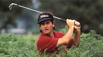 David Feherty
