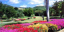 Carambola Course - U.S. Virgin Islands