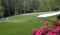 Terrain at Augusta National Golf Course