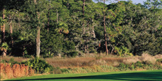 Sea Island Golf Course Fairway Panorama